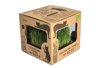 Ekologiczna trawka dla kota