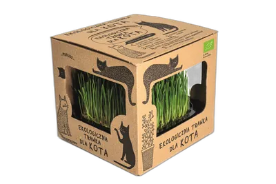 Ekologiczna trawka dla kota