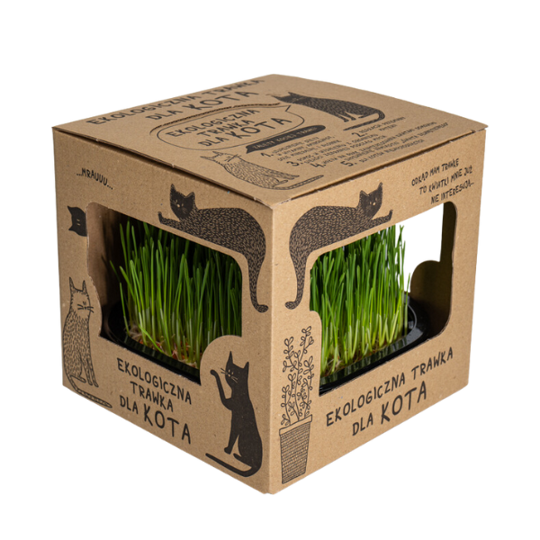Ekologiczna trawka dla kota w pudełku